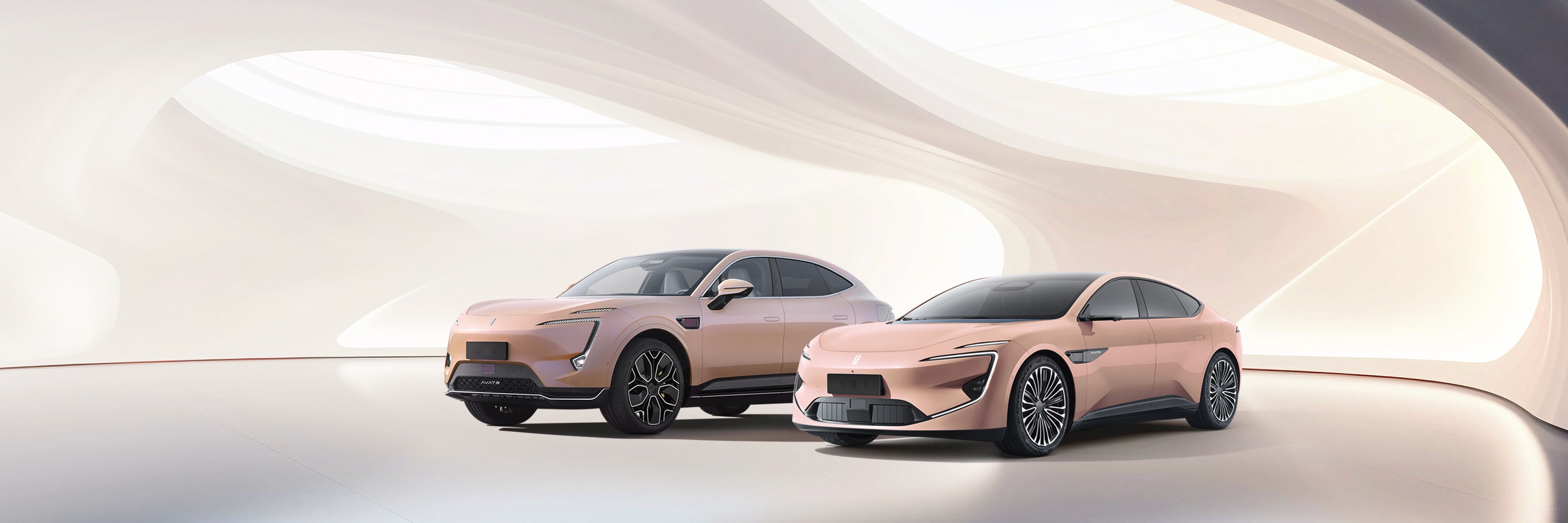 Left 45 degree of AVATR 11 2024 and AVATR 12 2024